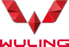 Wuling logo